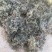 新产高含量茵陈。颜色好，没有杂质。