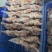 广东家养鸽子/精品乳鸽/规格齐全/量大价优/欢迎下单