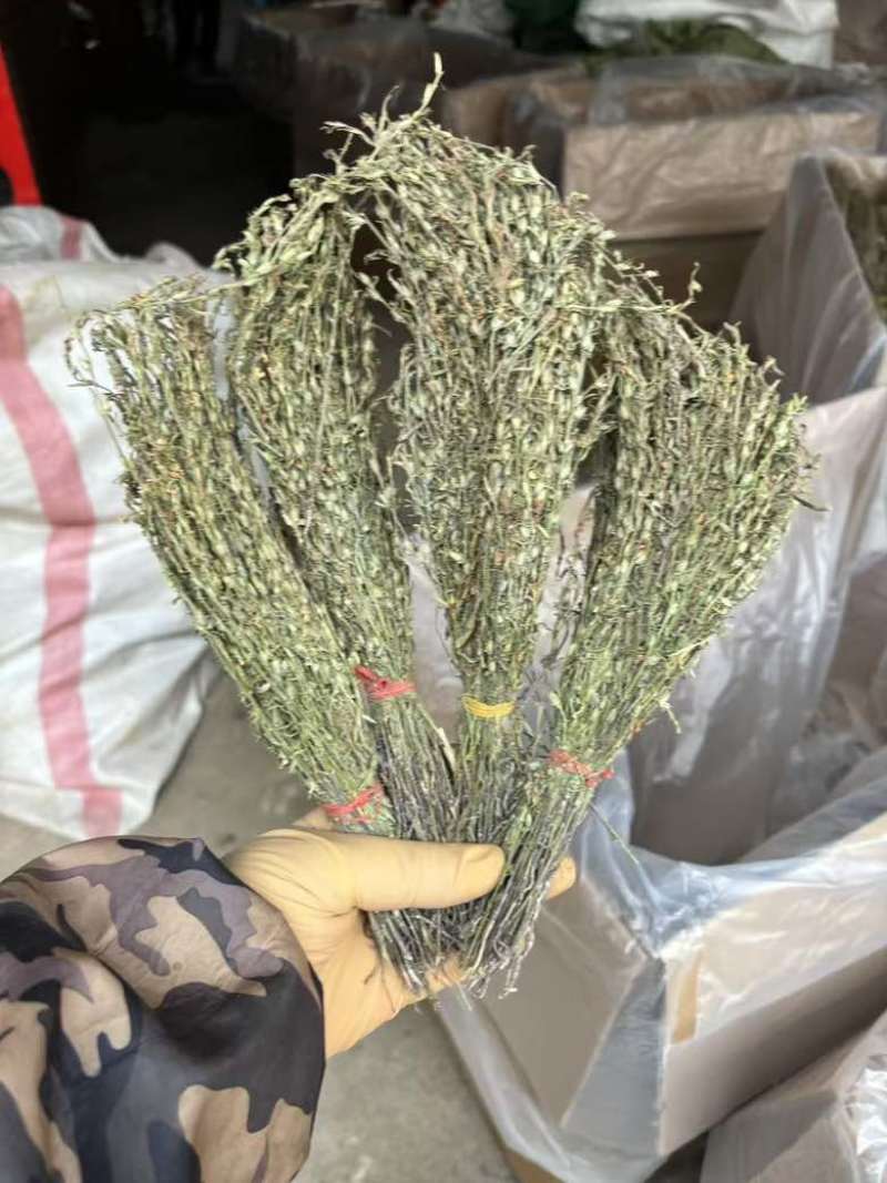 独脚金各规格有货颜色青绿货均有大量供应对接全国市场