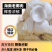 海南老椰子肉椰子片椰子脆