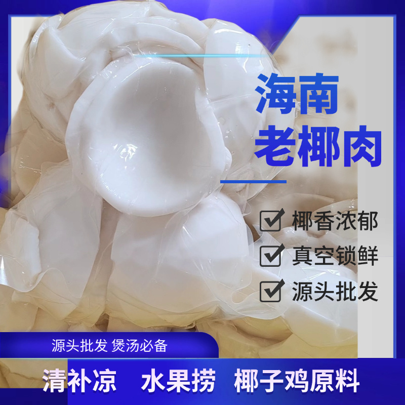 海南老椰子肉椰子片椰子脆