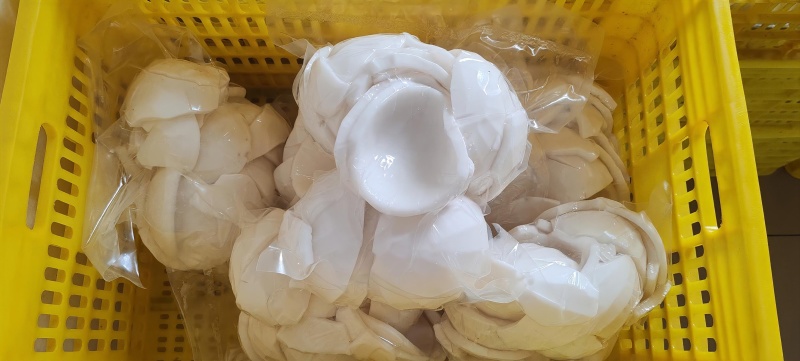 海南老椰子肉椰子片椰子脆