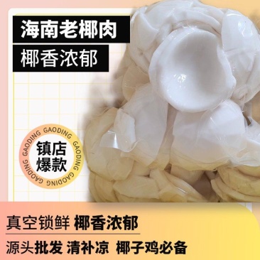 海南老椰肉清补凉水果捞椰子鸡专用