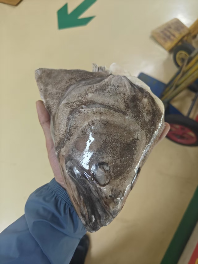鲽鱼头到货，大小个头两种规格