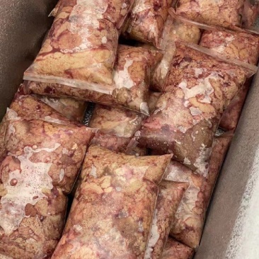 精品优质鲤鱼籽，冰鲜，冻品长期大量供应