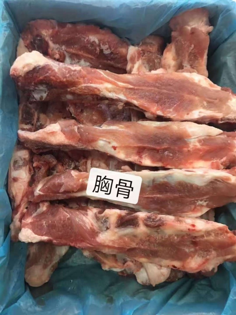 胸骨