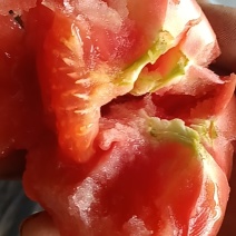精品硬粉