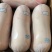 乳猪