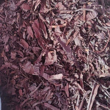 紫草批发价格