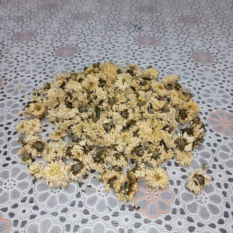 河南焦作怀菊花，大量上市，保质保量，欢迎老板咨询