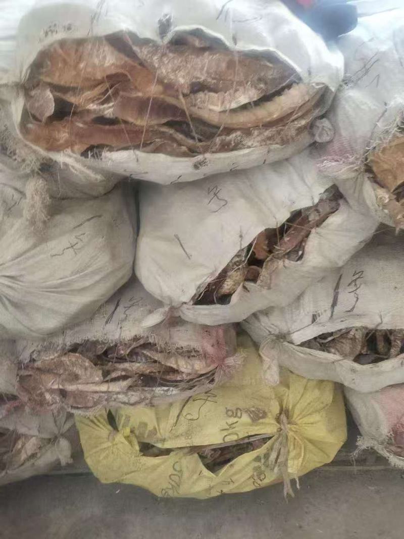 精品笋干大量供应，货源充足，量大从优，一手货源。