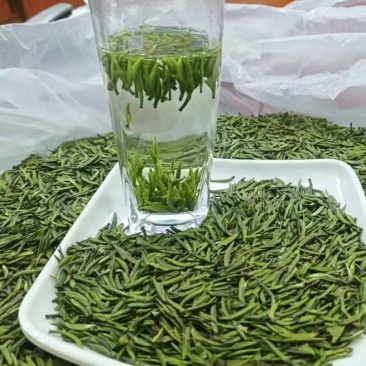 贵州省遵义市湄潭县明前翠芽（各类中高低炒青，烘青，附茶）