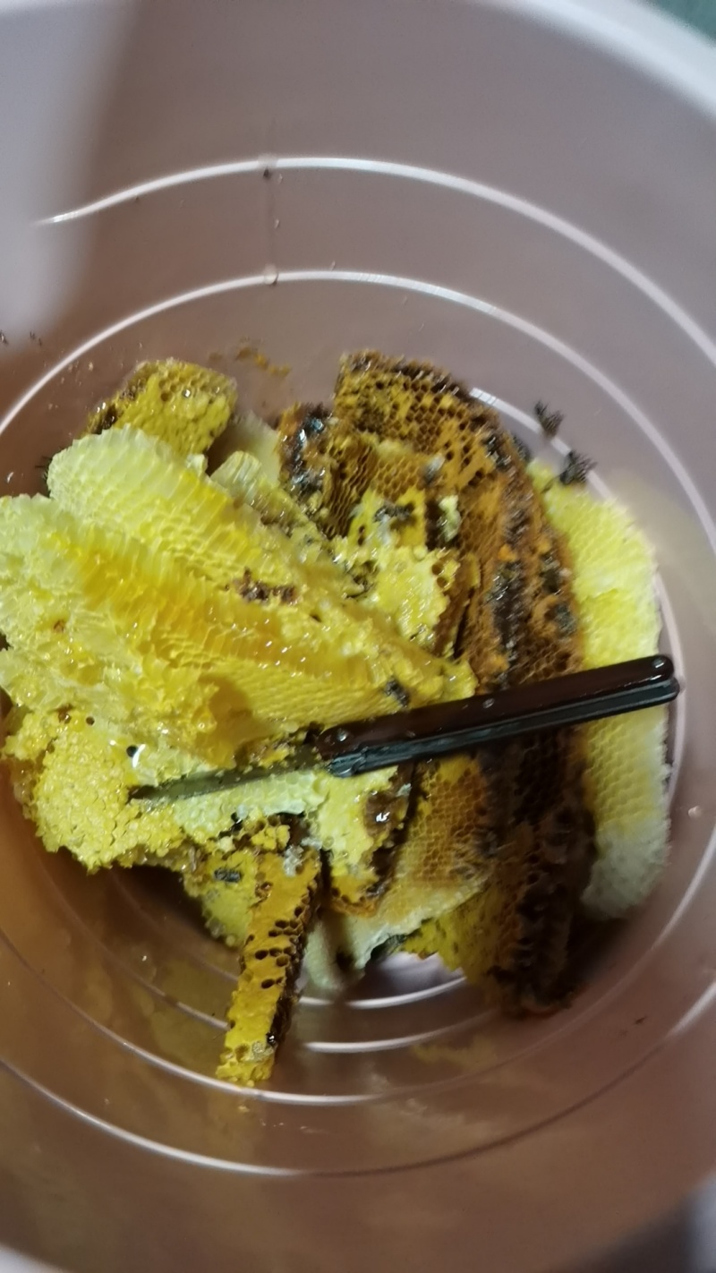 野生蜂蜜