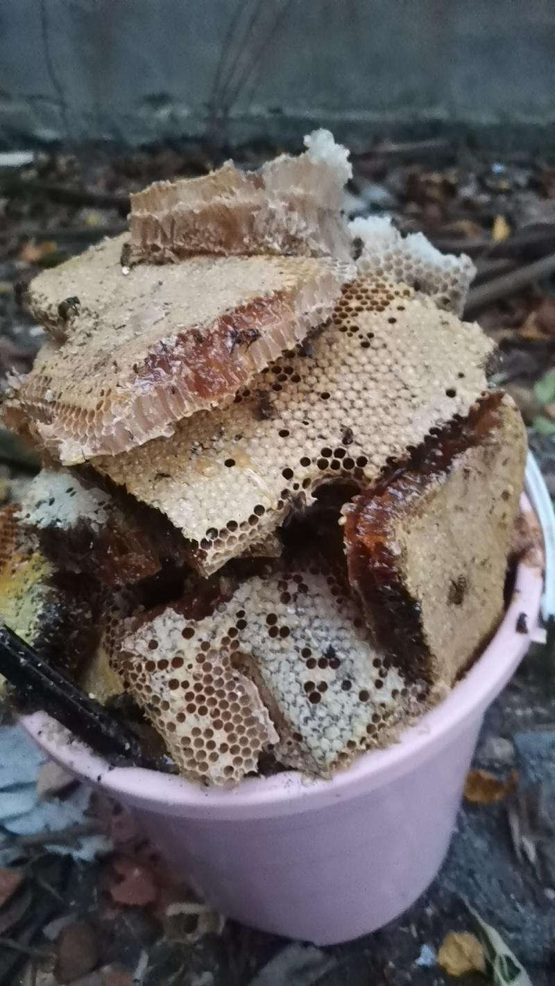 野生蜂蜜