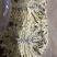 金毛狮子鱼河北代表菜厂家直销
