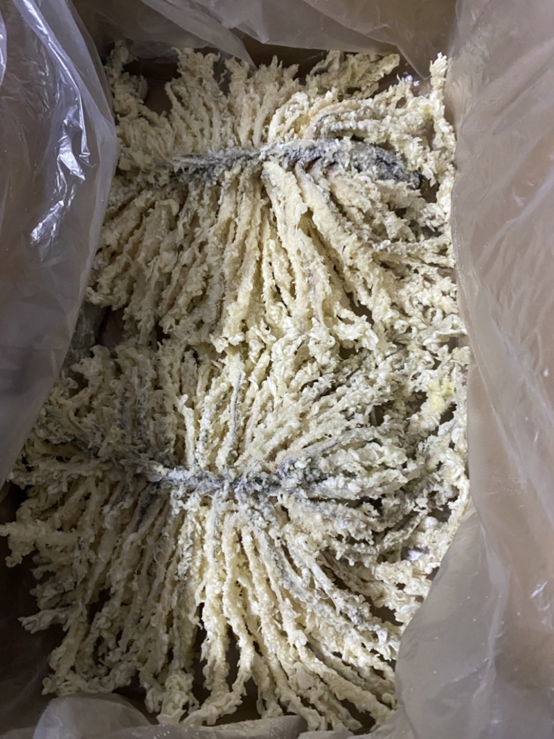 金毛狮子鱼河北代表菜厂家直销