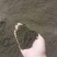 江苏菇渣通用有机肥基地直发保质保量对接全国量大从优