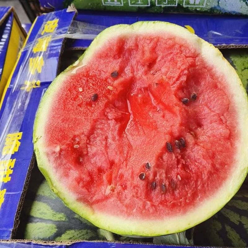 砀山美都西瓜，保熟保甜，产地直供对接批发市场超市全国发货
