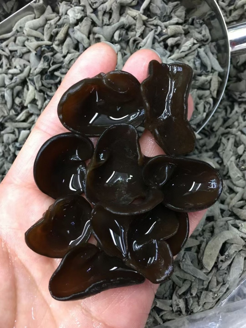 产地直销东北特产黑木耳厚肉诚信合作量大从优