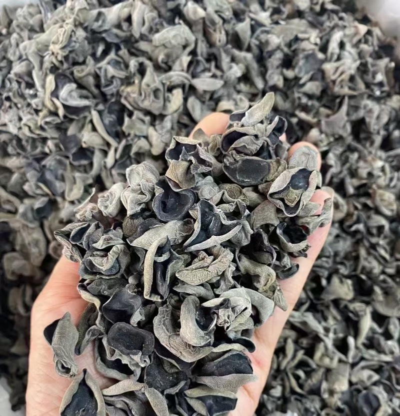 产地直销东北特产黑木耳厚肉诚信合作量大从优