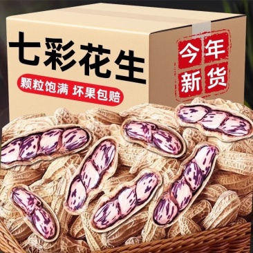 七彩花生炒熟花生大货批发
