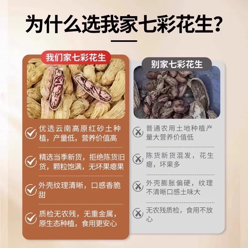 七彩花生炒熟花生大货批发