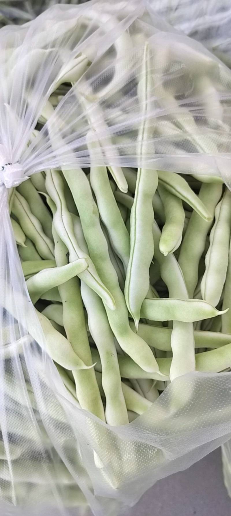 山东平度芸豆大量上市了，欢迎朋友前来采购