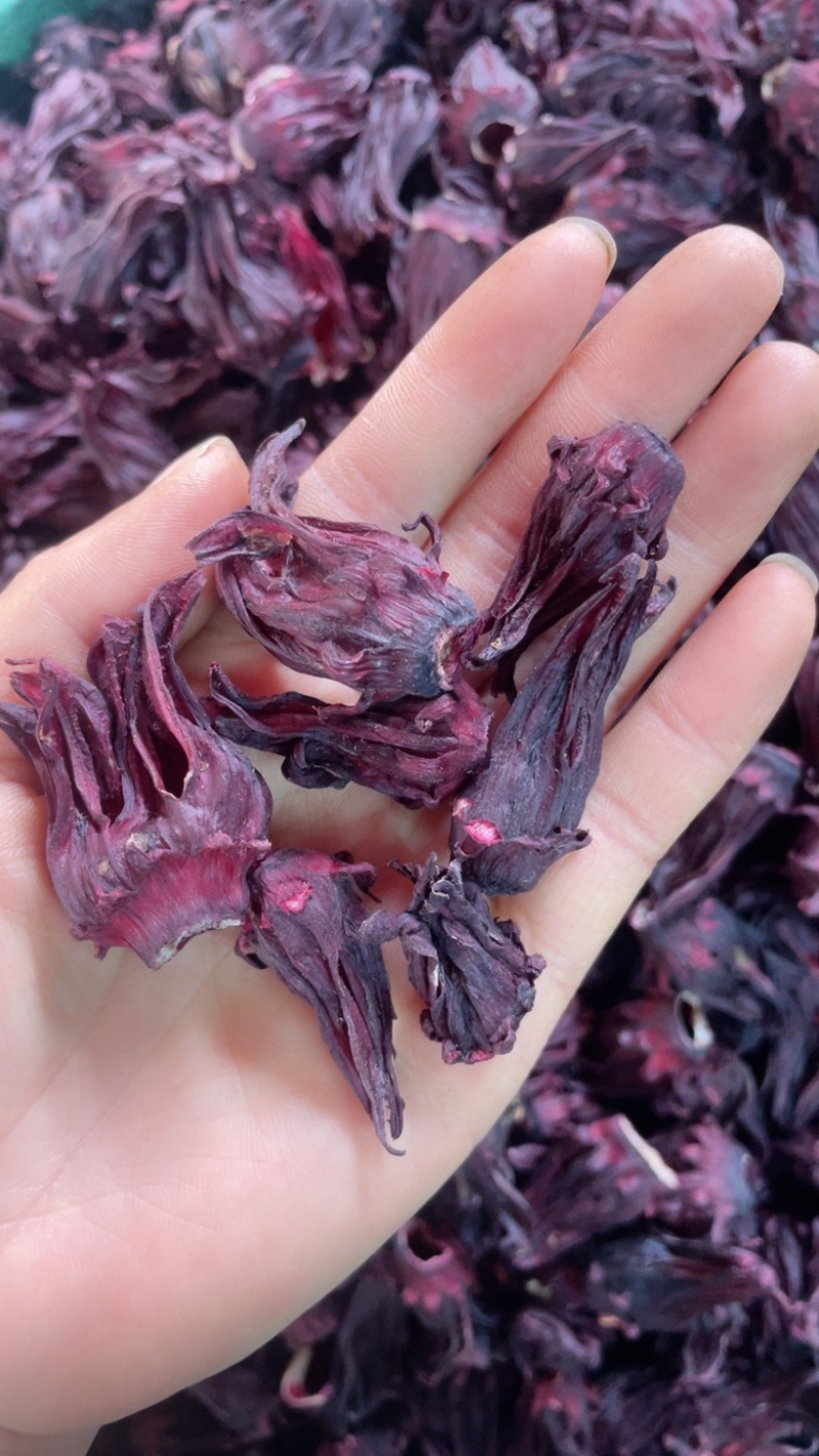 精品大个国产洛神花玫瑰茄大货批发