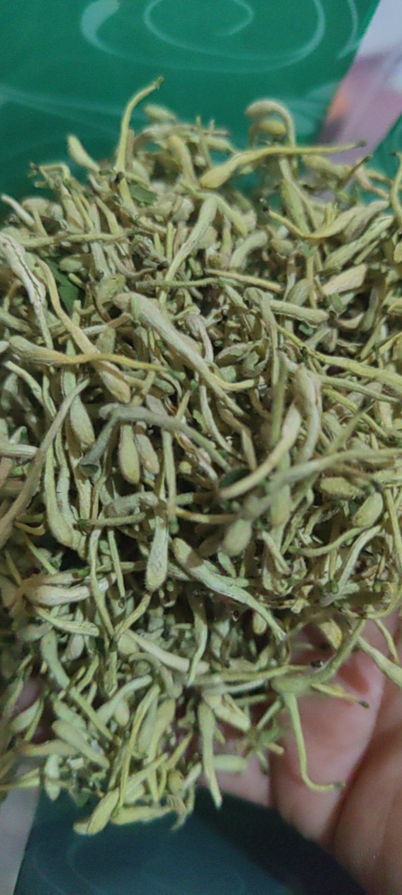 金银花批发价格