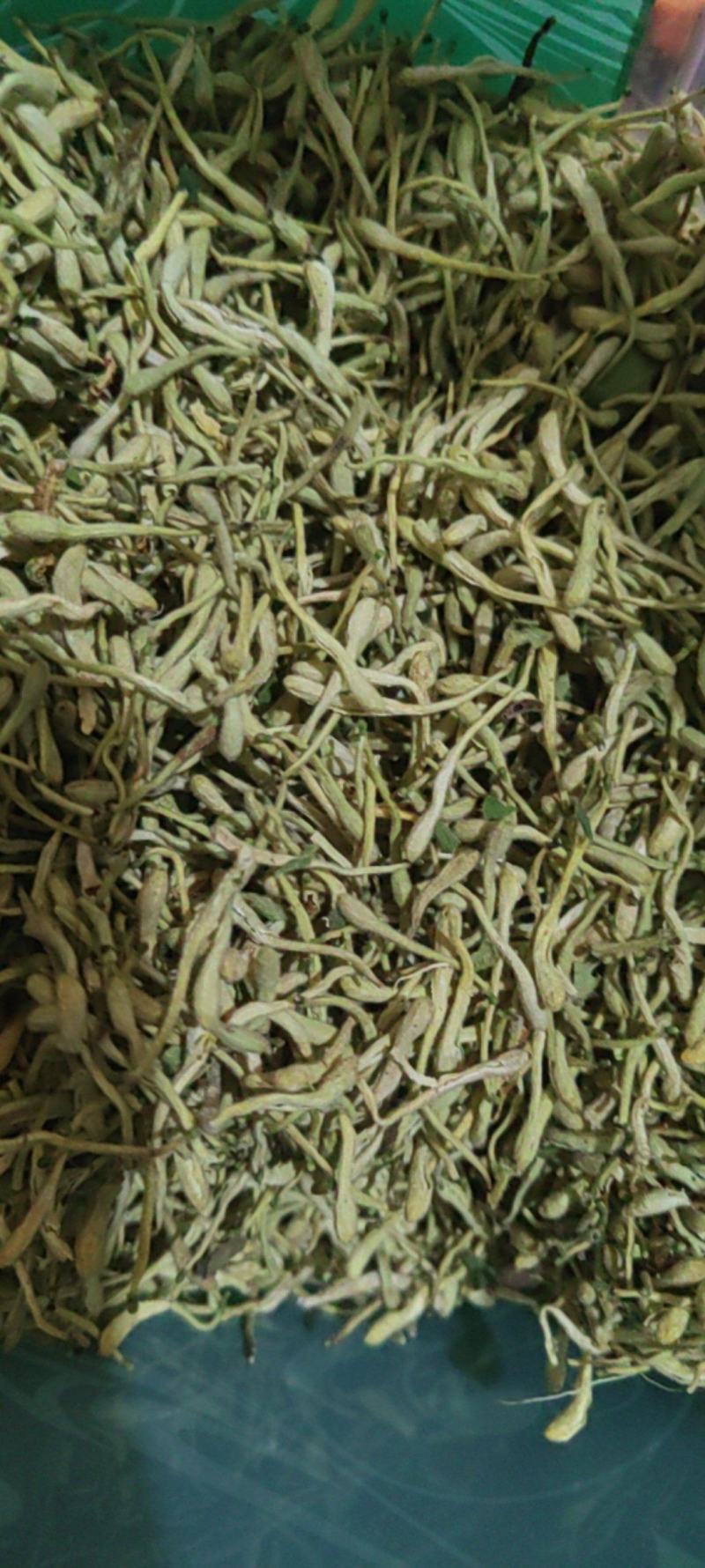 金银花大货价格