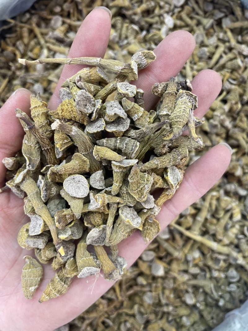 虎牙石斛大货批发一手货源
