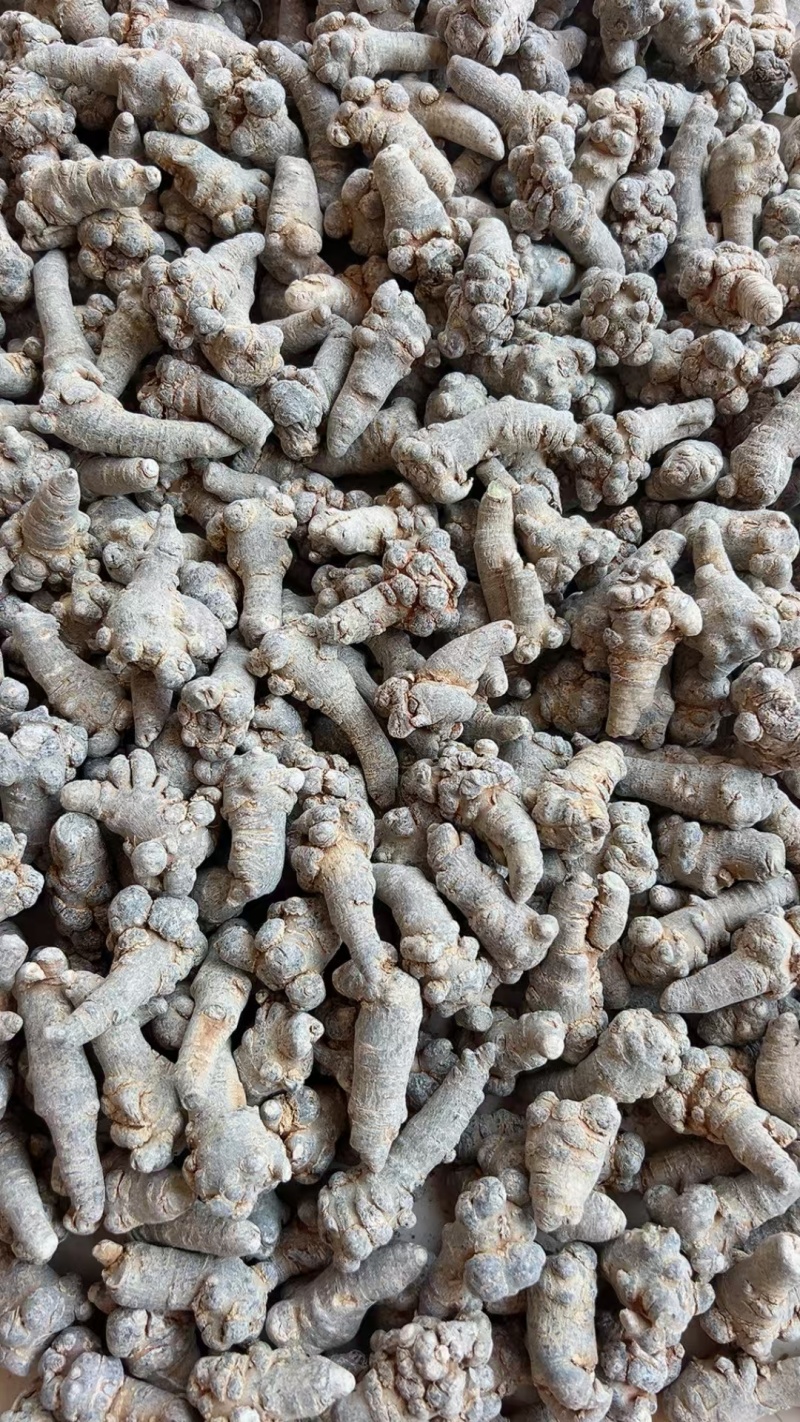 文山30头三七/一手货源/可切片切丝磨粉量大价优/包邮
