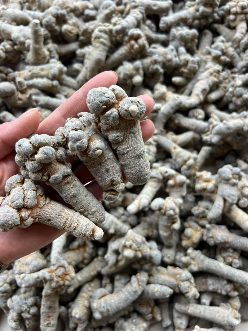 水洗35头滑头云南文山三七/量大价优/可视频看货/包邮