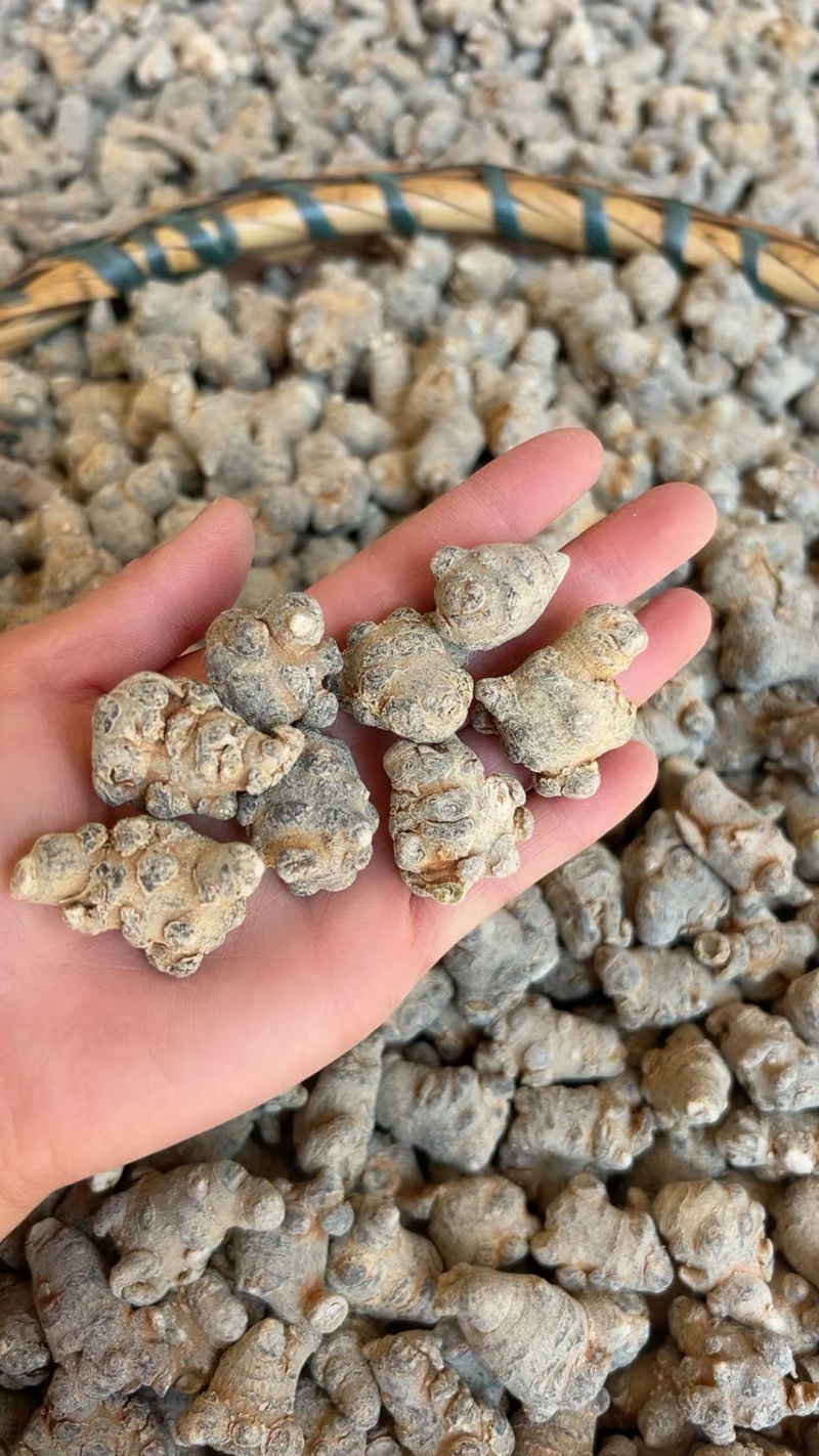 水洗35头滑头云南文山三七/量大价优/可视频看货/包邮