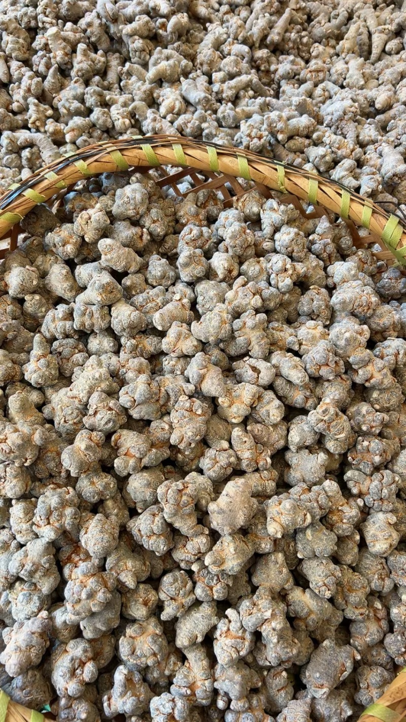 水洗35头滑头云南文山三七/量大价优/可视频看货/包邮