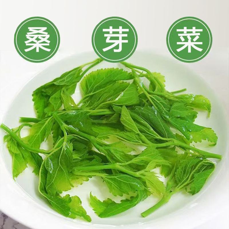 新鲜桑叶，可食用桑叶芽，上汤，火锅，清炒