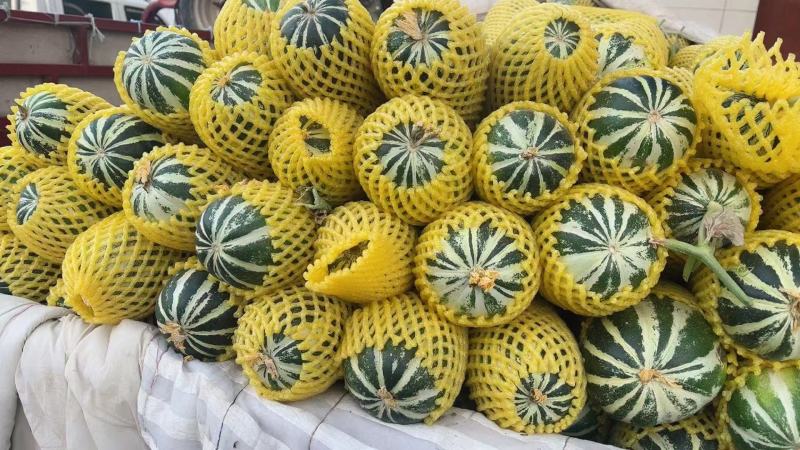 精品博洋甜瓜大量供货产地直发价格优惠支持视频看货