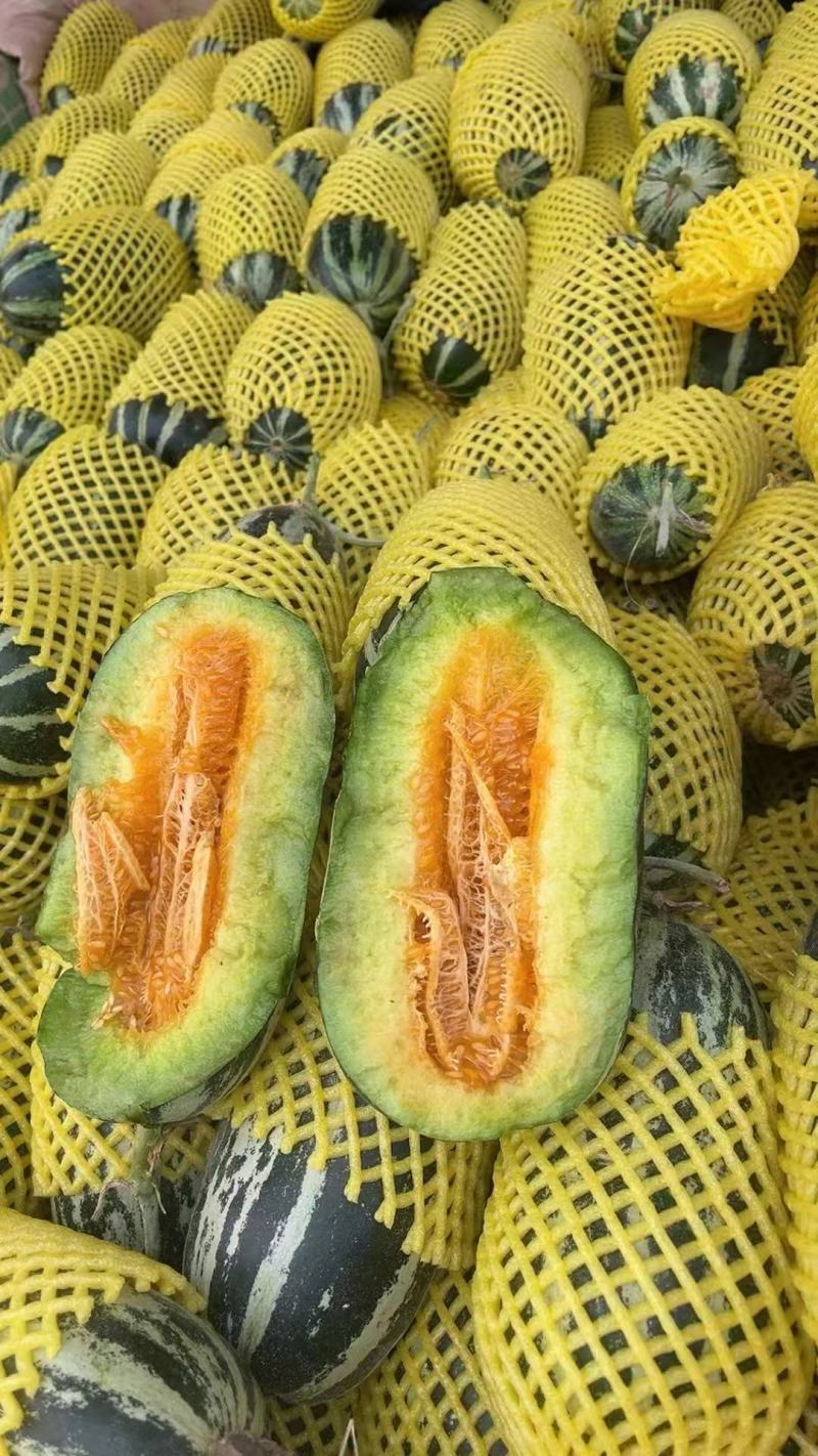 精品博洋甜瓜大量供货产地直发价格优惠支持视频看货