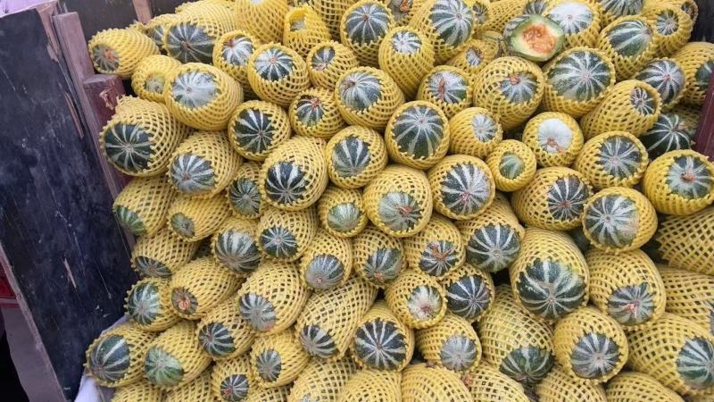 精品博洋甜瓜大量供货产地直发价格优惠支持视频看货