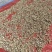 【榆黄菇干品】产地现货大量供应，品质保证，欢迎采购