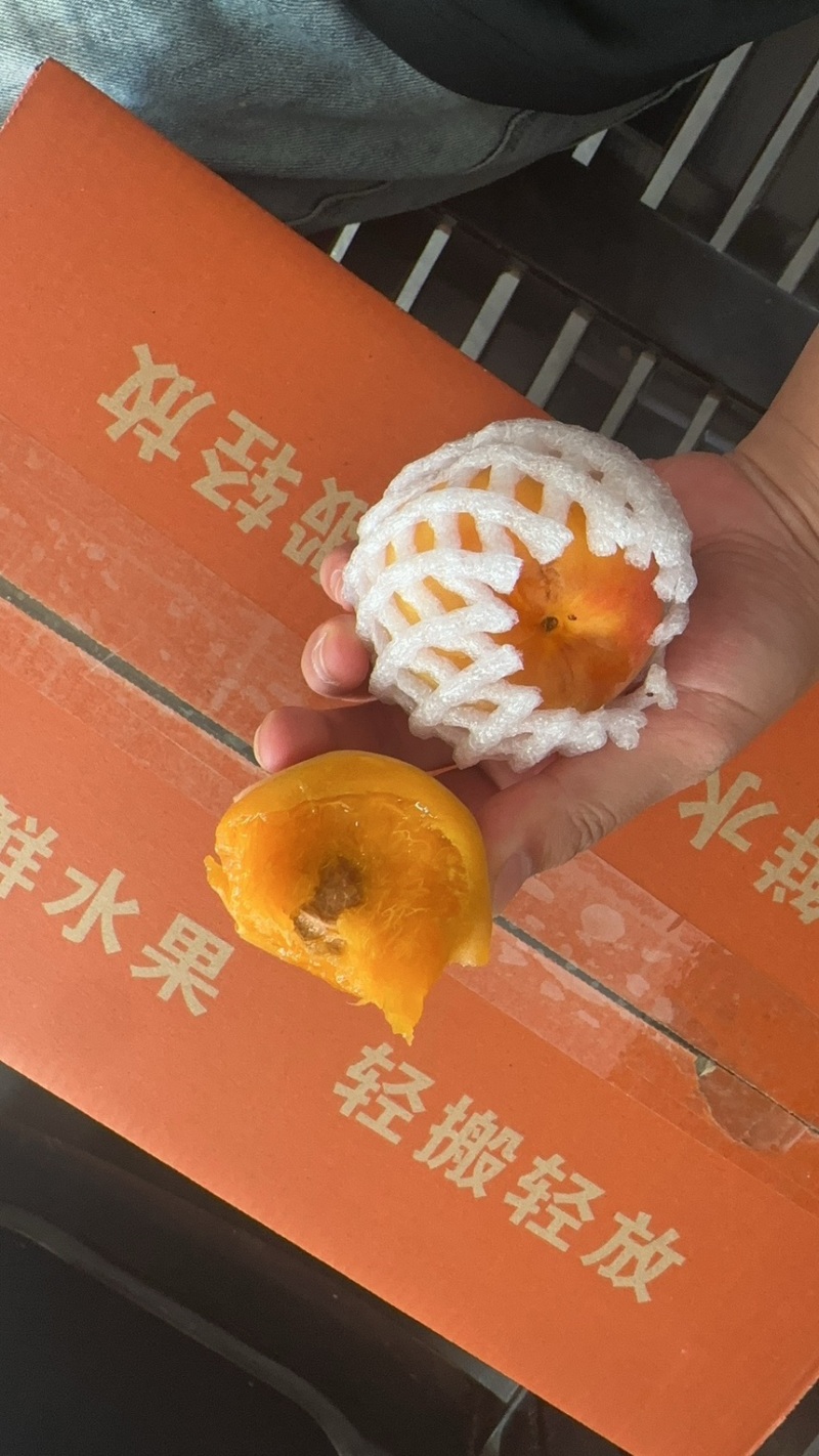 丰缘红贵妃红杏甜杏一件代发