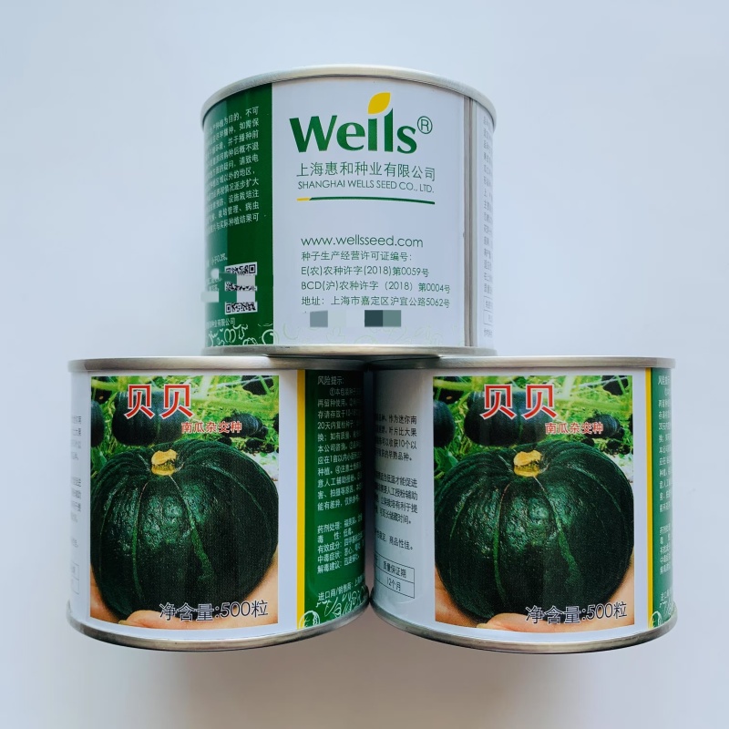 上海惠和进口贝贝南瓜种子高产抗病高品质小南瓜种籽