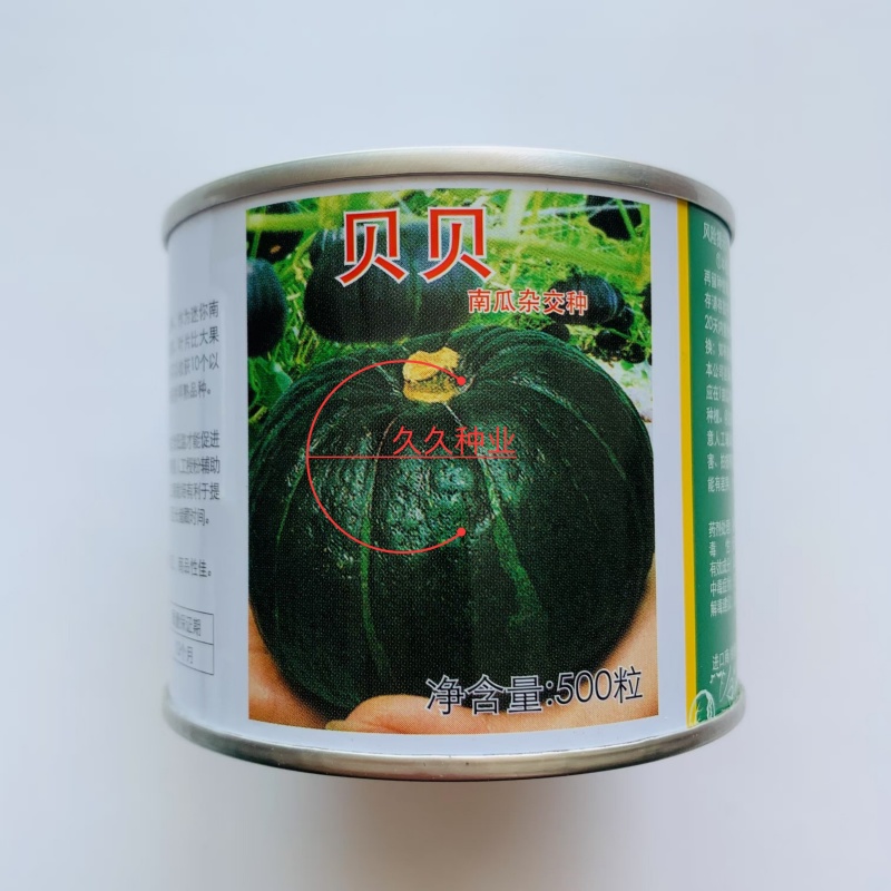 上海惠和进口贝贝南瓜种子高产抗病高品质小南瓜种籽
