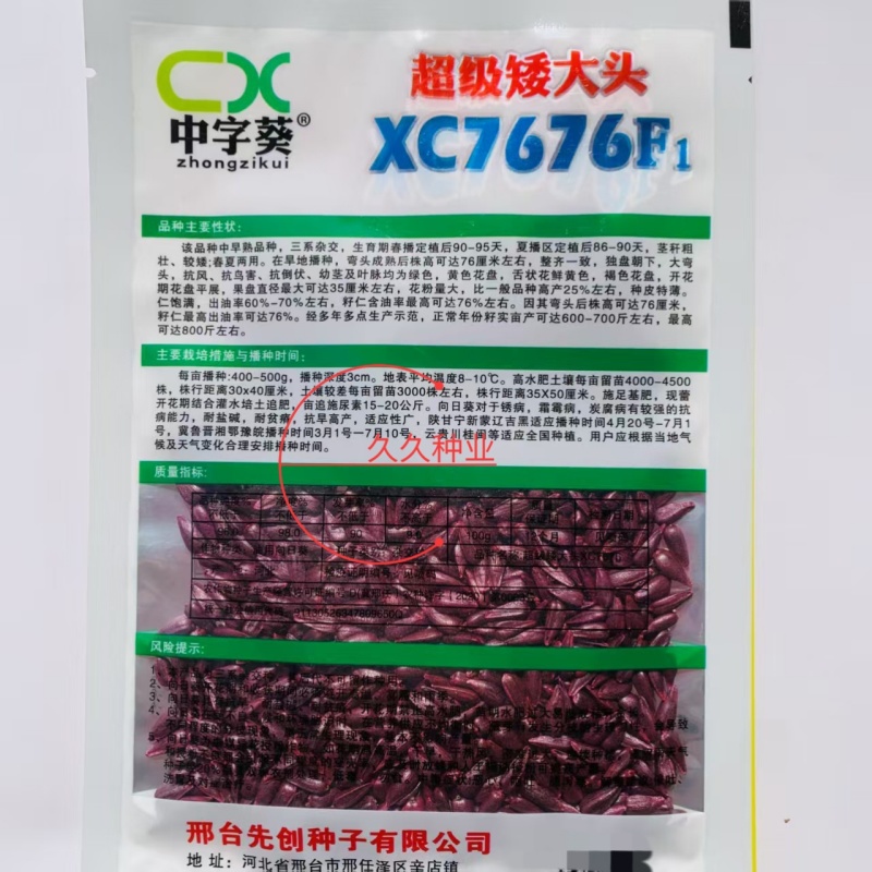 **矮大头XC7676矮杆油葵种子向日葵种子葵花种籽榨油