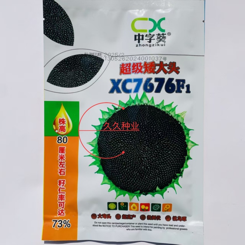 **矮大头XC7676矮杆油葵种子向日葵种子葵花种籽榨油