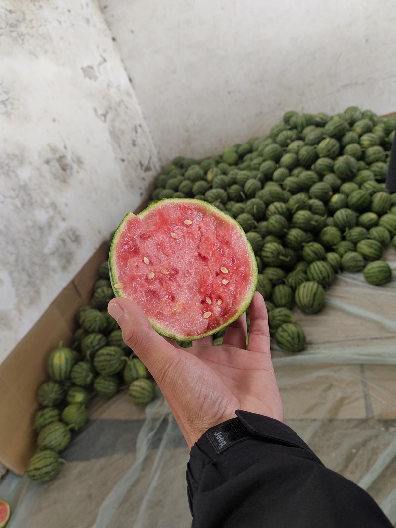早春红玉大量上市精品，市场货，电商货，欢迎选购。