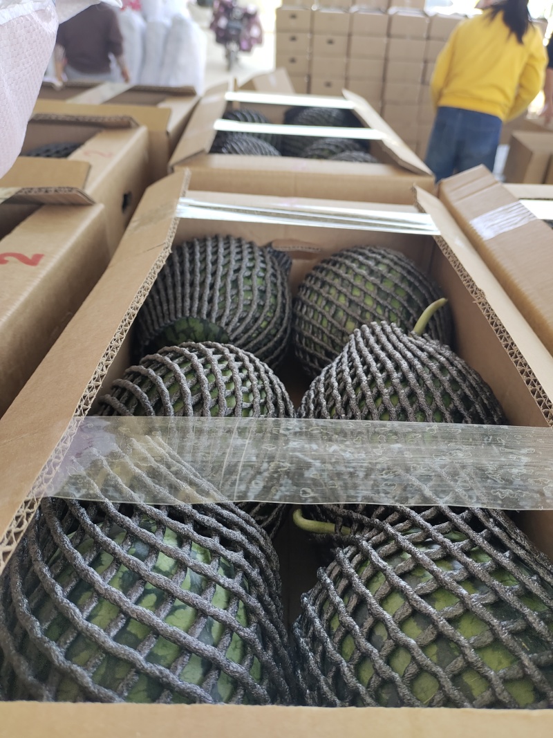 早春红玉大量上市精品，市场货，电商货，欢迎选购。