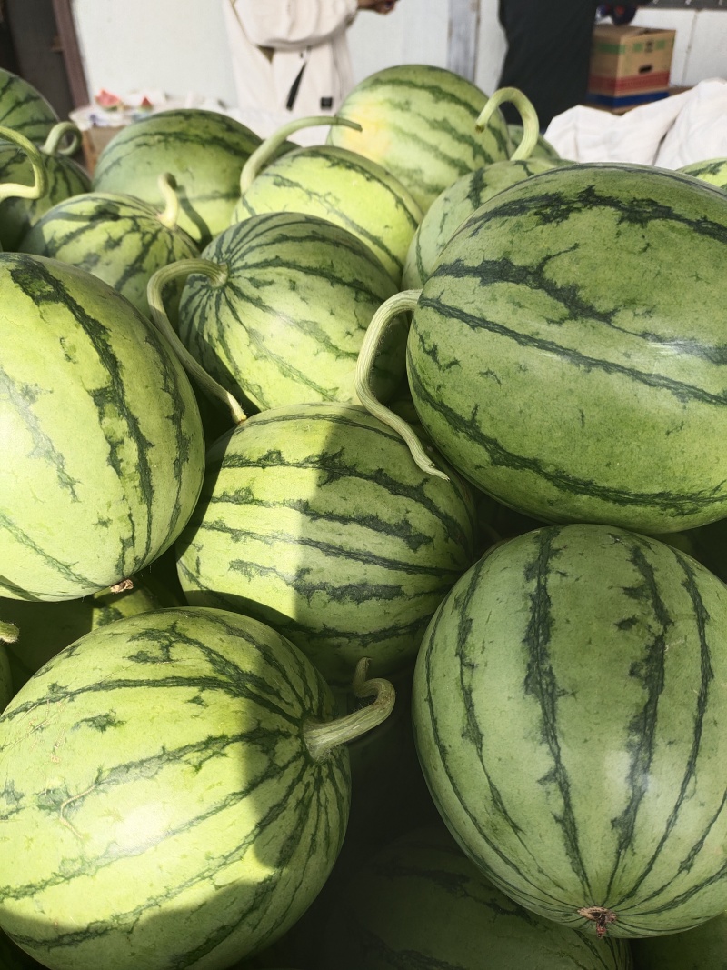 早春红玉大量上市精品，市场货，电商货，欢迎选购。