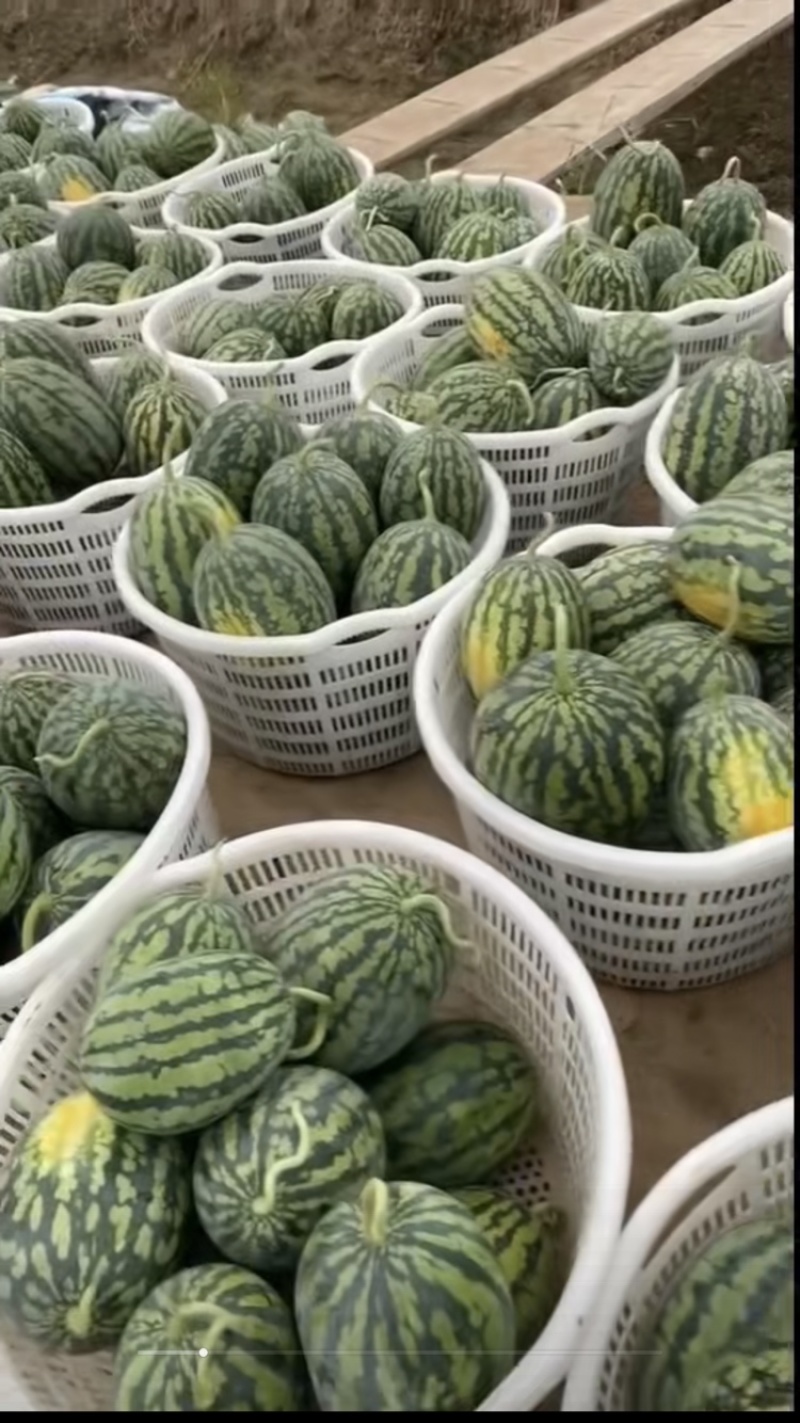江苏东台甘美4K