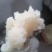 [实力商家]秦岭纯野生蜂蜜，自产自销，100%保证品质，